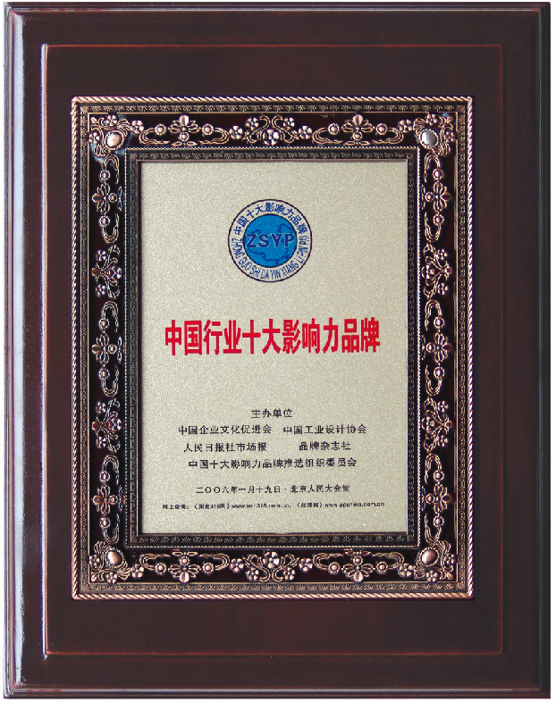 十大影响力品牌扁