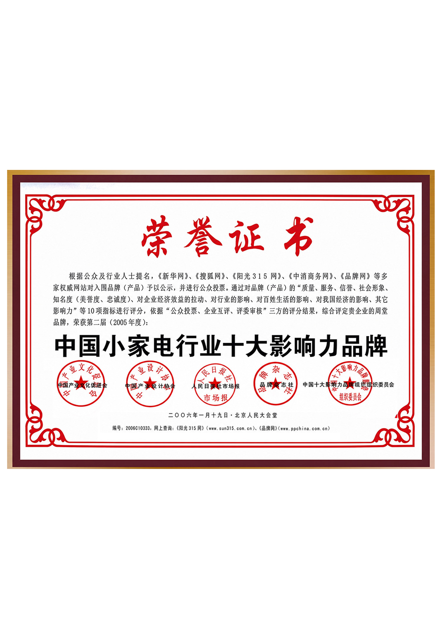 十大影响力品牌